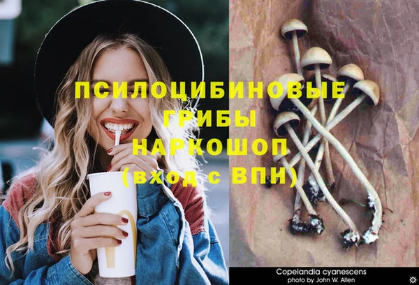 мефедрон Горнозаводск