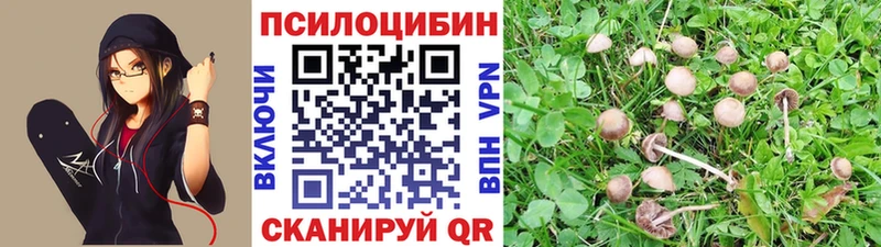 Псилоцибиновые грибы Psilocybine cubensis  МЕГА ONION  Грязовец 