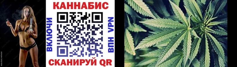 Шишки марихуана марихуана  где купить   Грязовец 